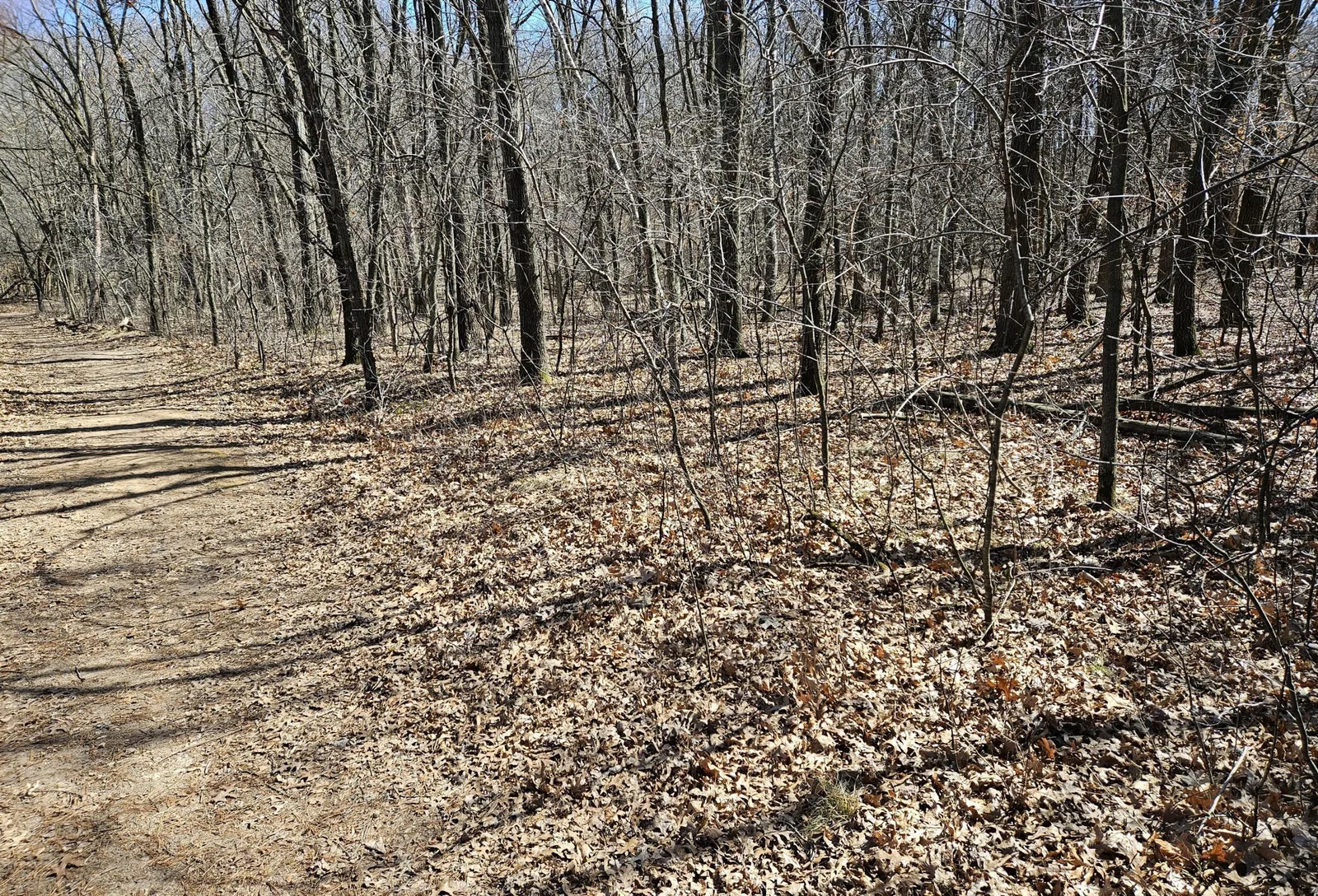 Thumbnail photo 11