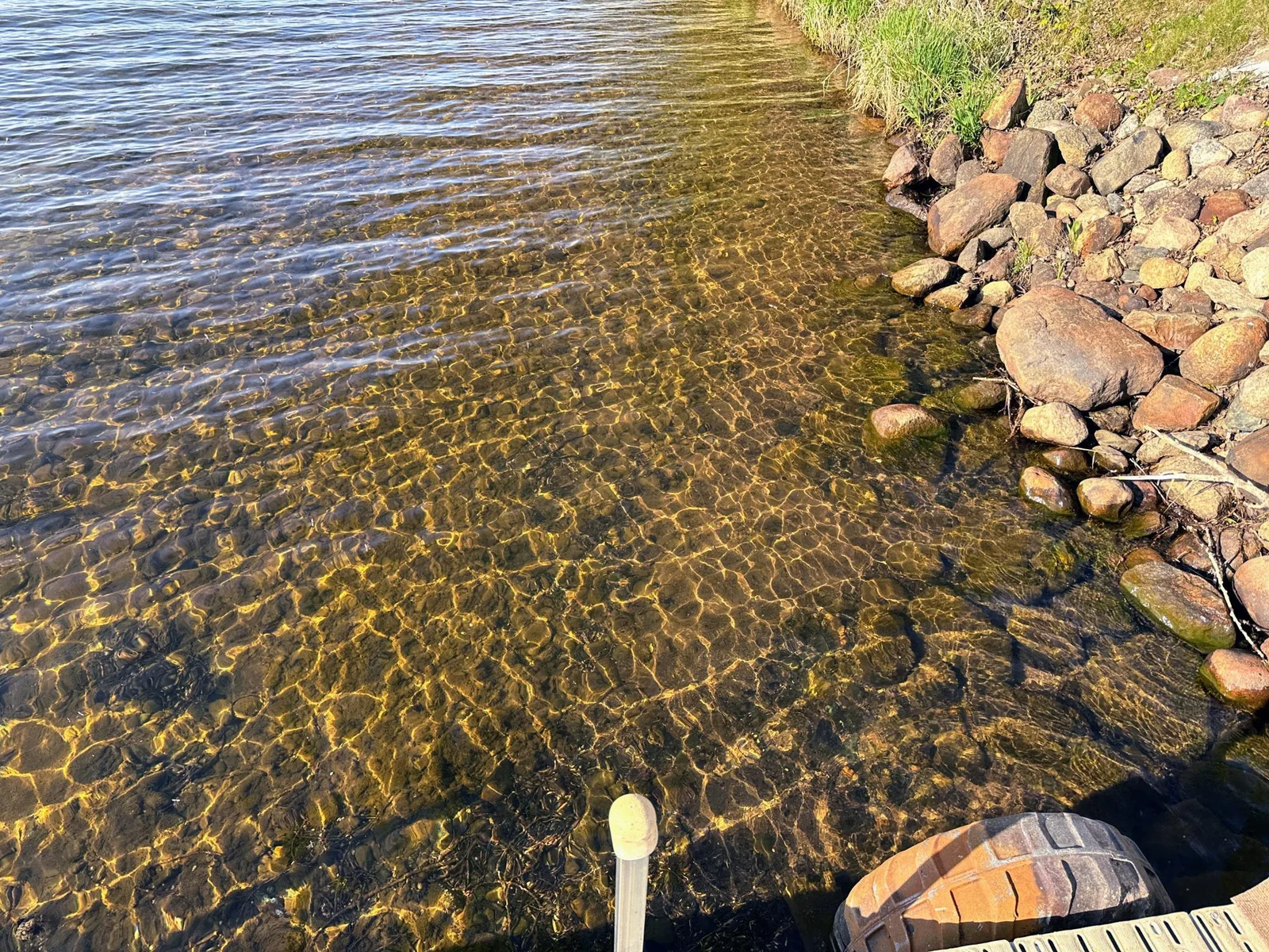 Lake bottom