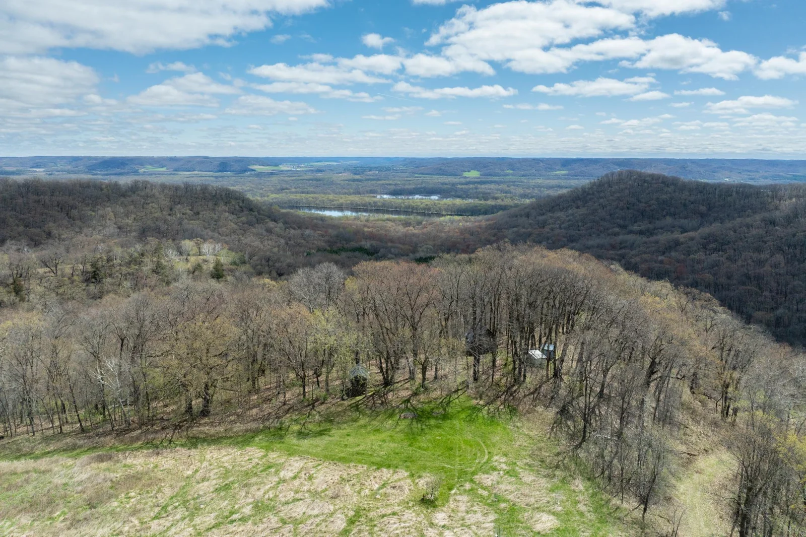 Meadow, Forest and River Valley