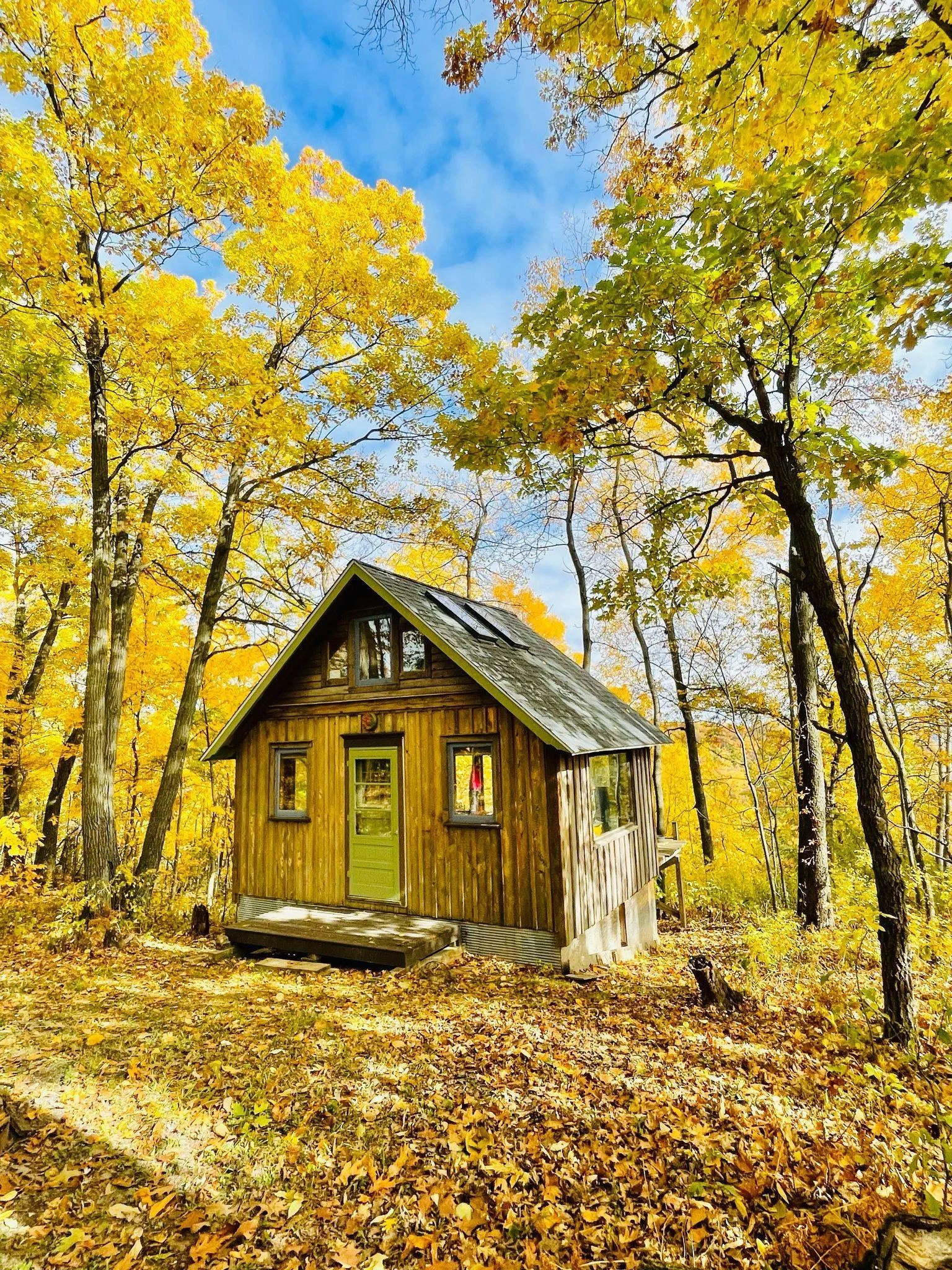 Autumn Splendor