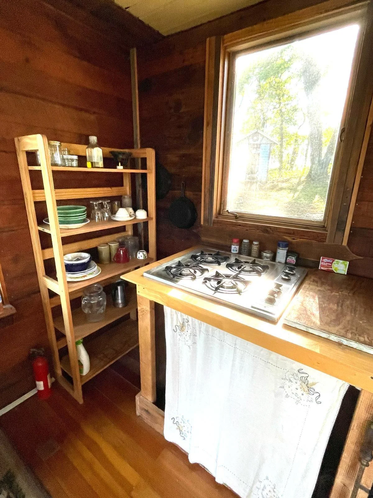 Propane Cooktop