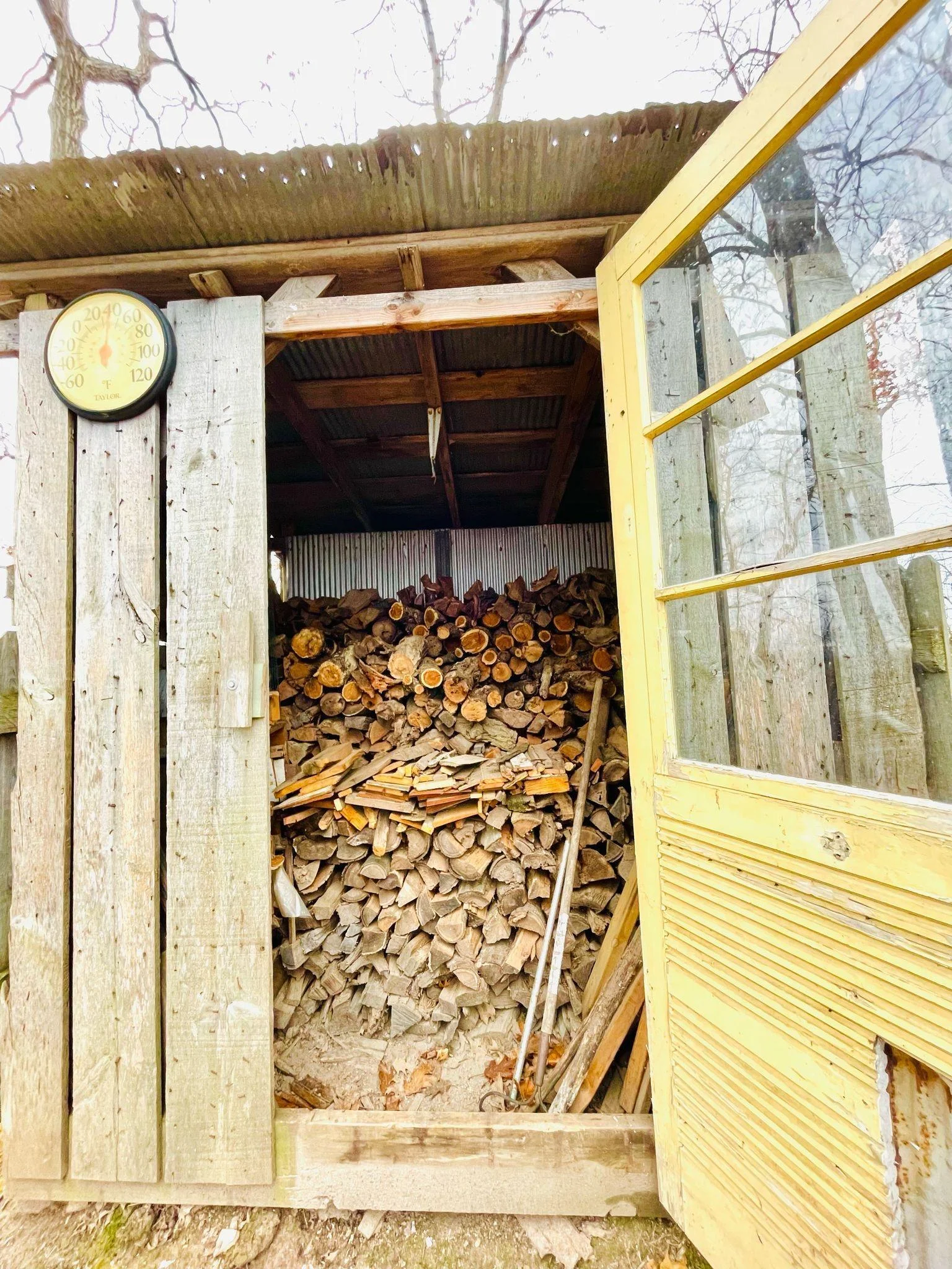 An Endless Supply of Wood