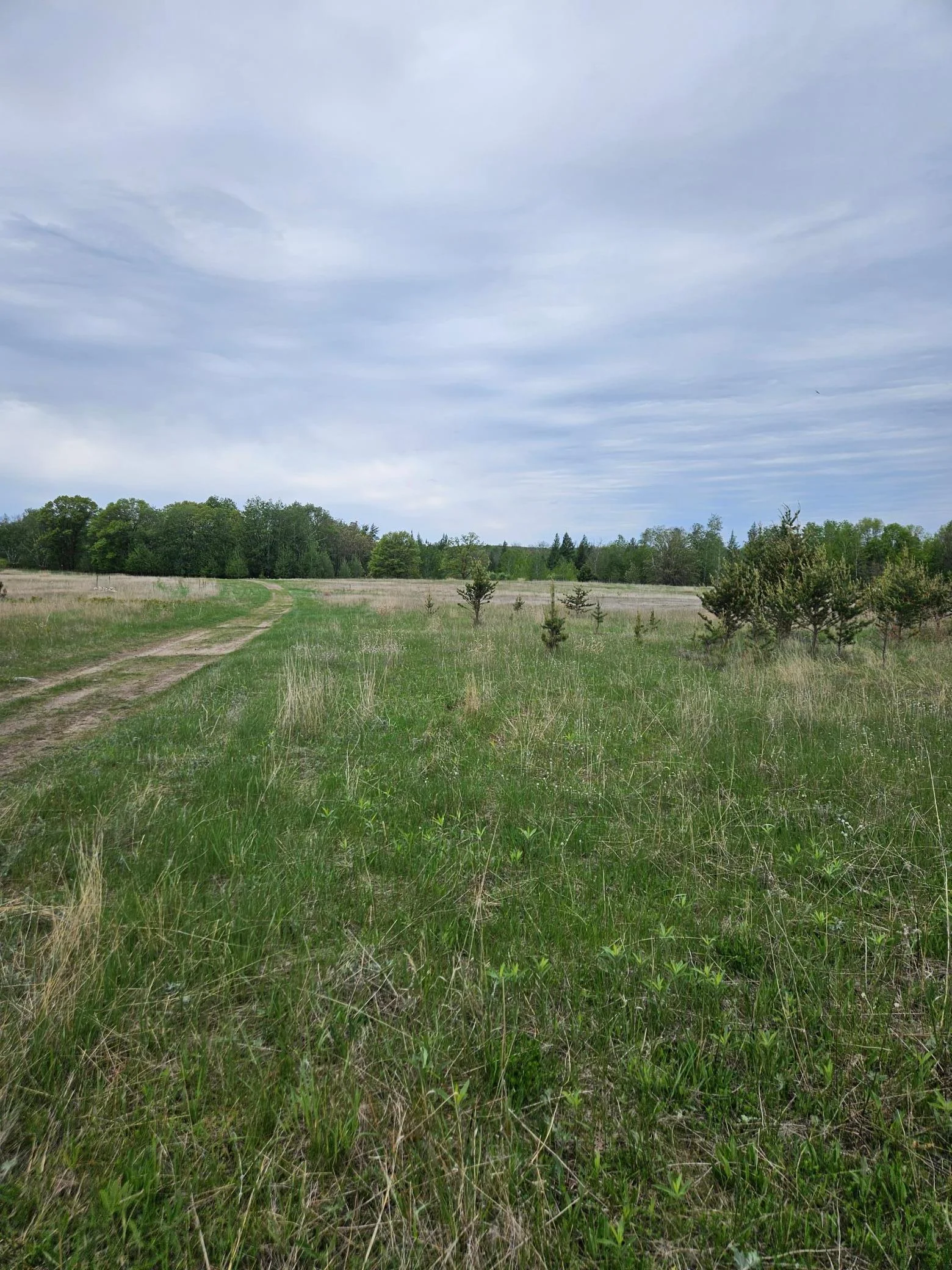 Photo 1 of Pillager Creek
