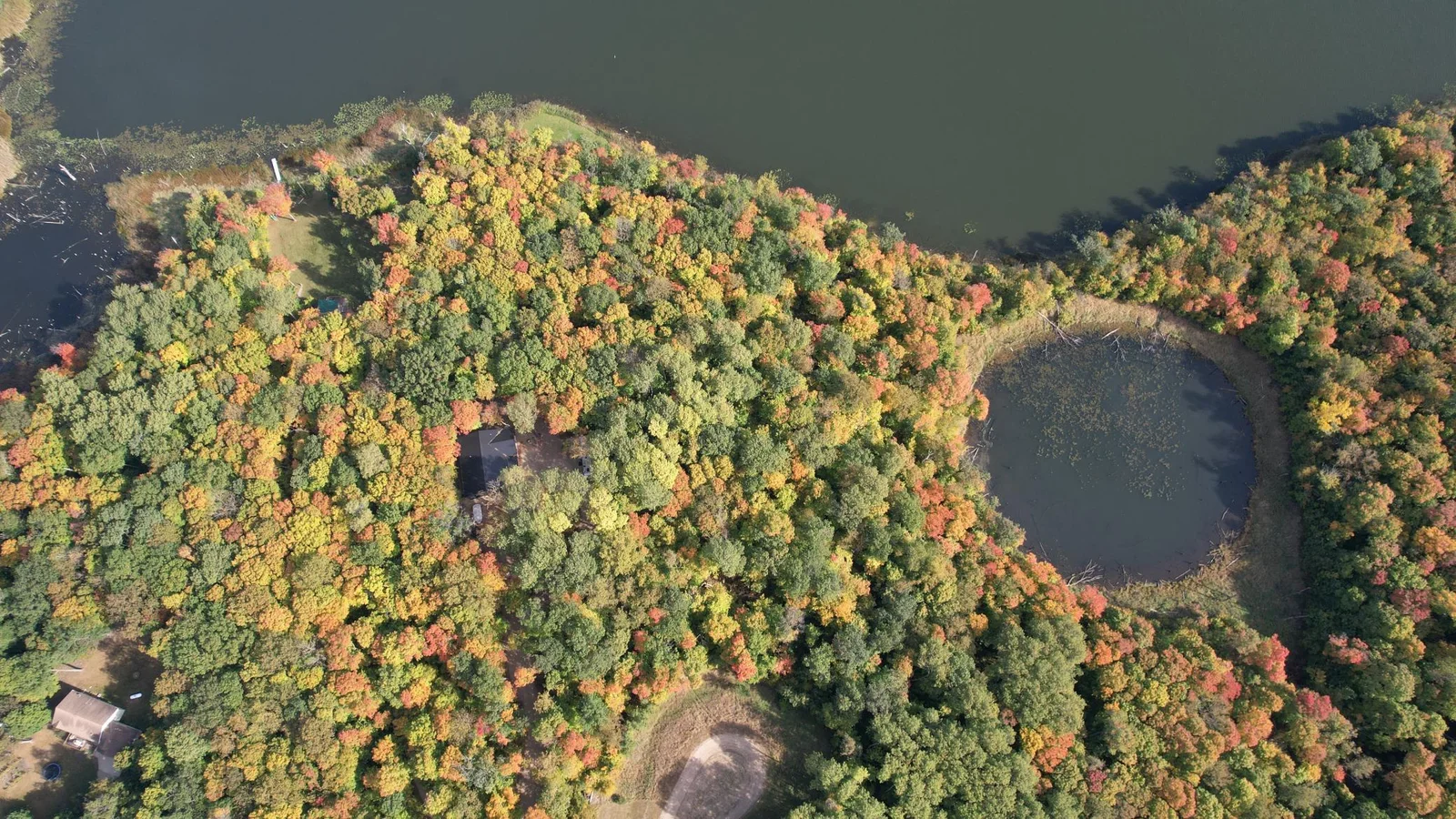 dji_fly_20241001_111010_732_1727799650177_photo.jpeg