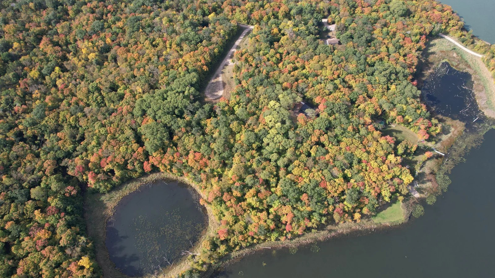 dji_fly_20241001_111052_733_1727799648314_photo.jpeg