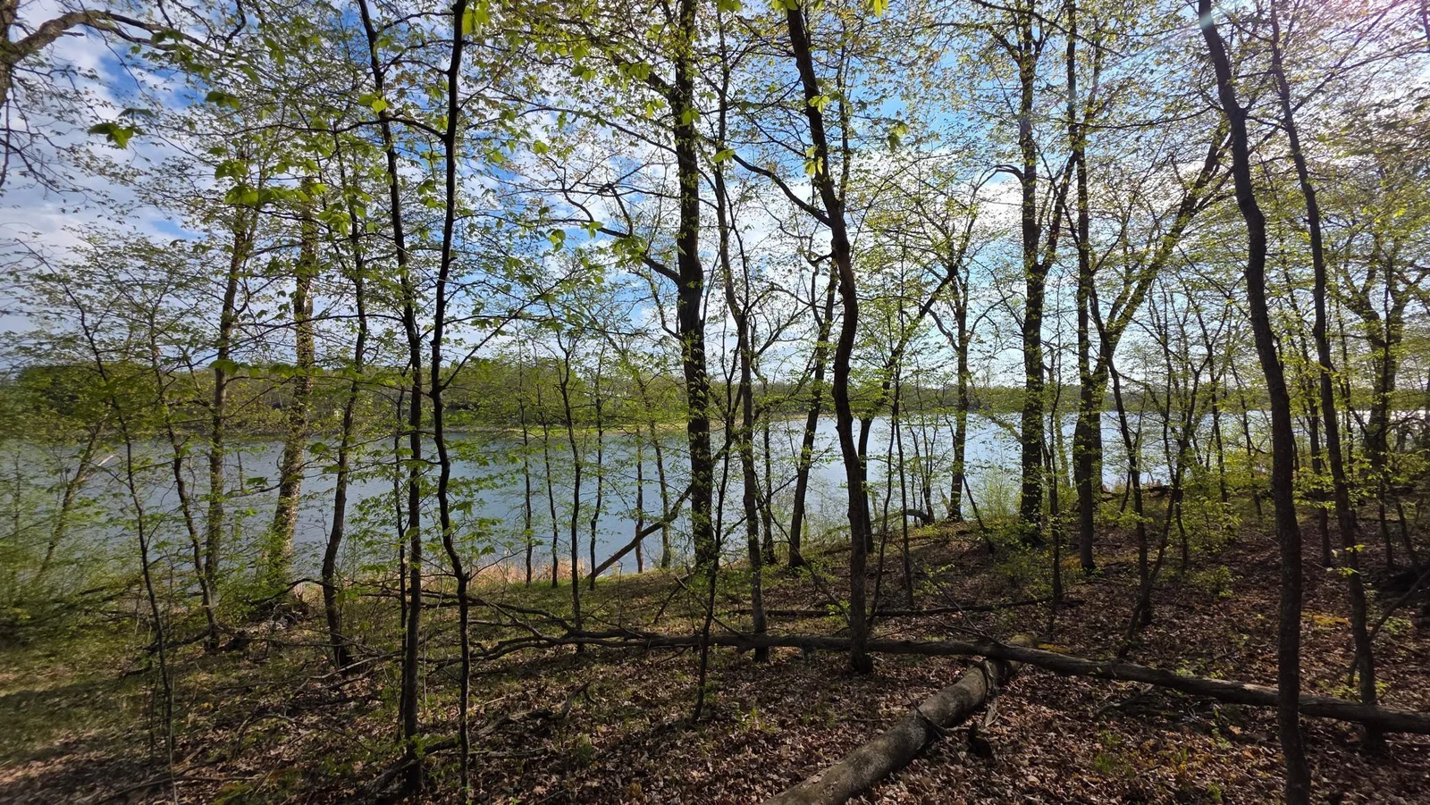 20250509_090015.jpg