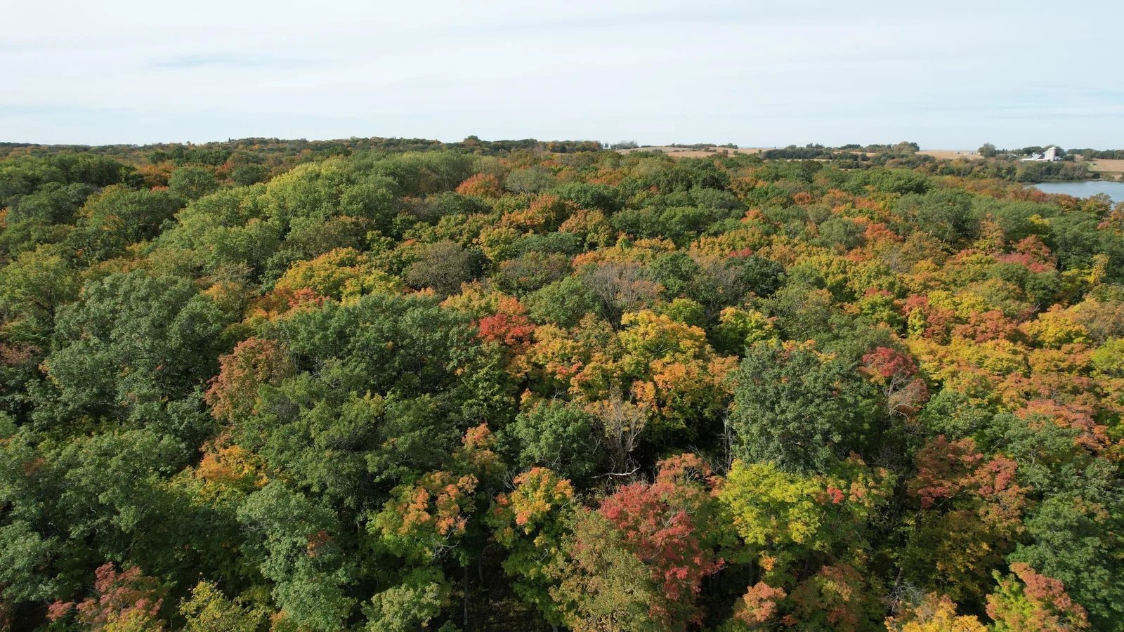 dji_fly_20241001_111312_739_1727799639010_photo.jpeg