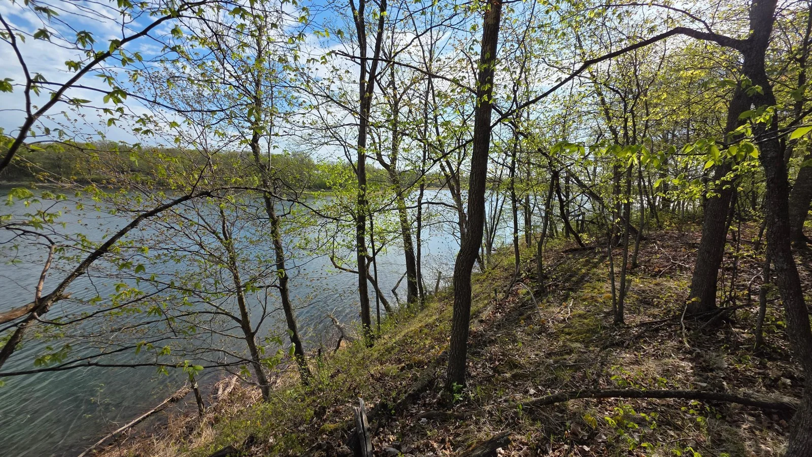 20250509_085907.jpg