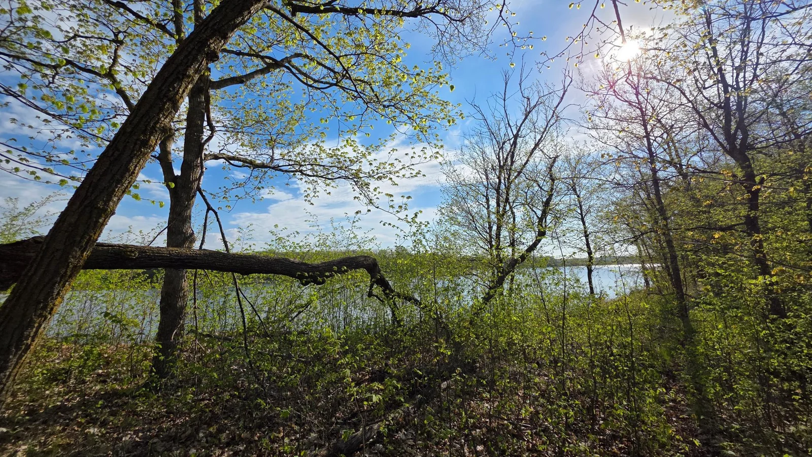 20250509_085621.jpg