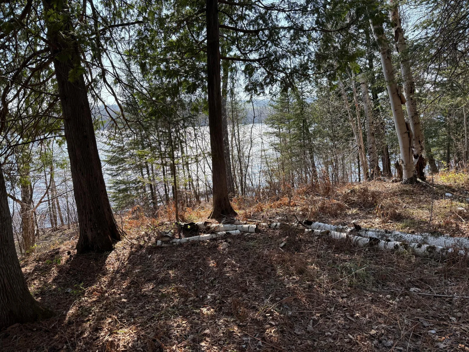 Photo 1 of 6041 Voyageurs
