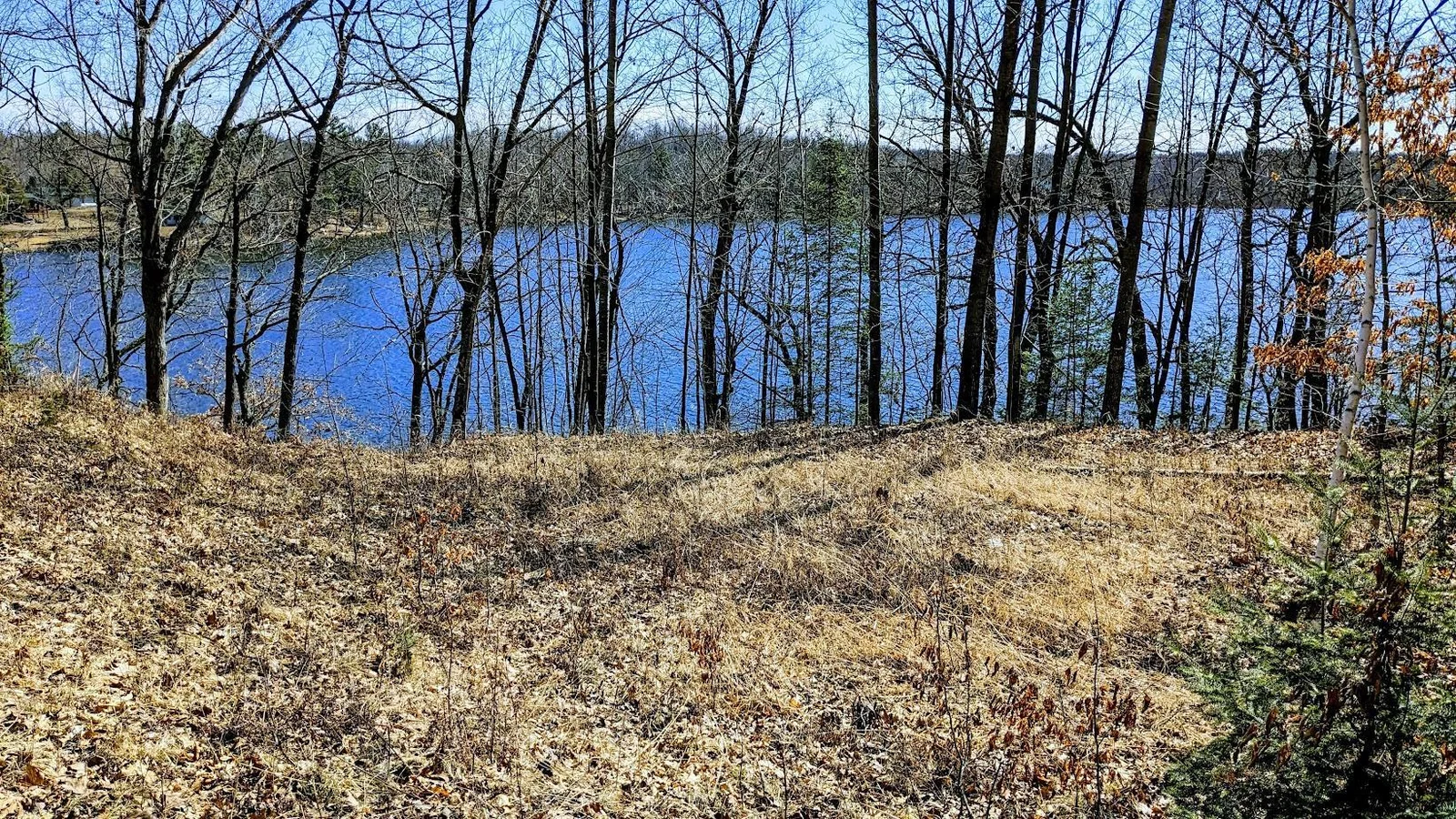 PXL_20240315_175428115~2.jpg