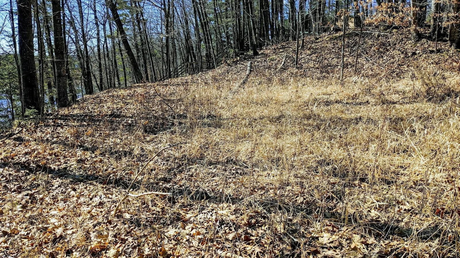 PXL_20240315_174412785~2.jpg