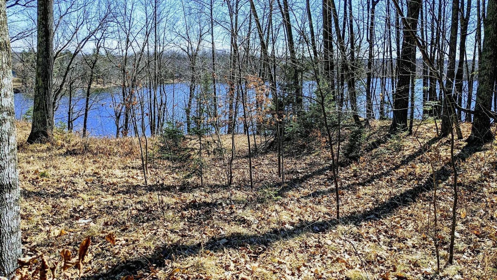 PXL_20240315_175504609~2.jpg