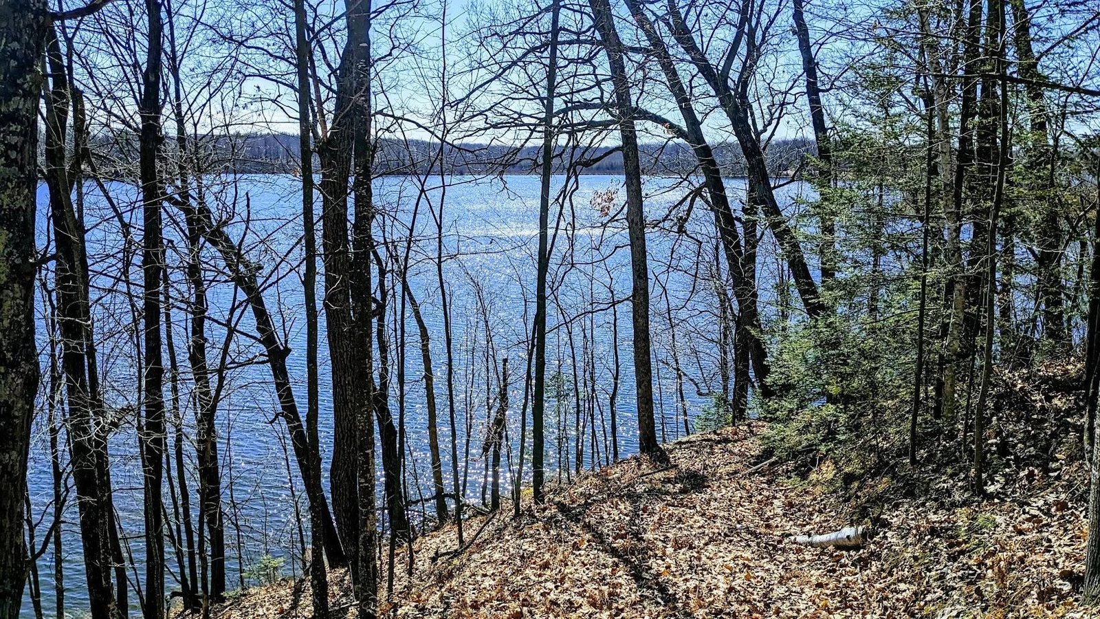 PXL_20240315_174456701~2.jpg