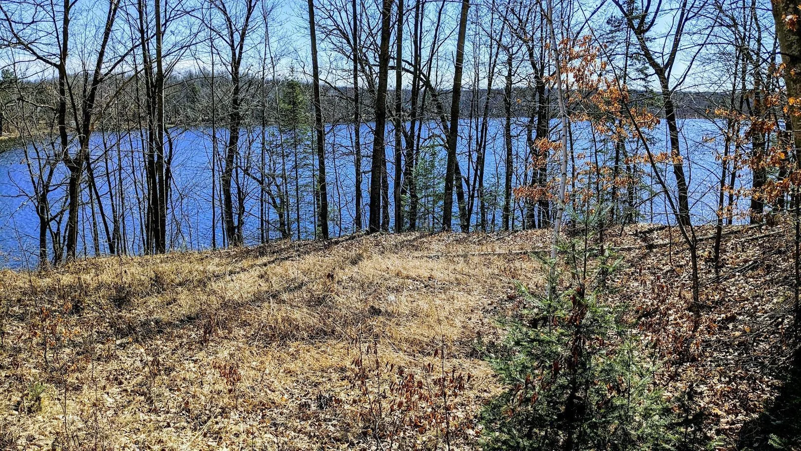 PXL_20240315_175425475~2.jpg