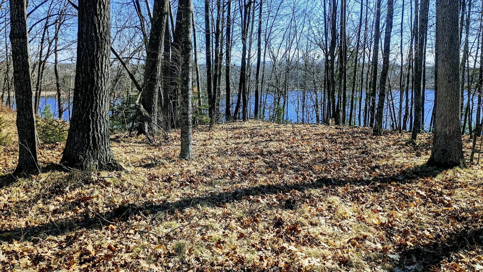 PXL_20240315_174223253~2.jpg