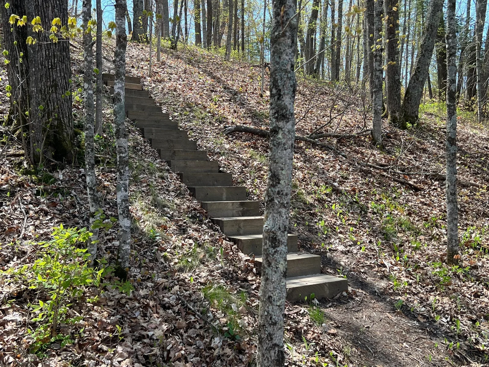 THE STEPS TO THE LAKE.
