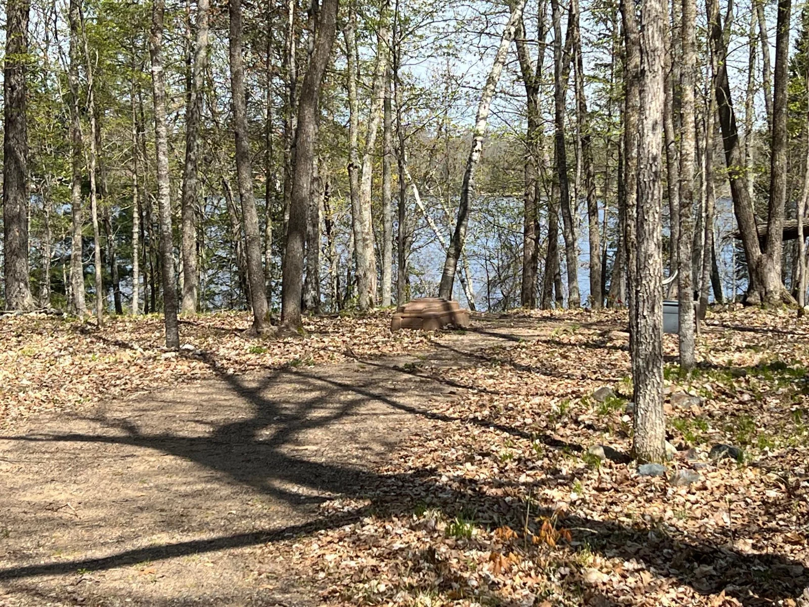 A VIEW FROM THE DRIVEWAY & PARTIALLY CLEARED AREA.