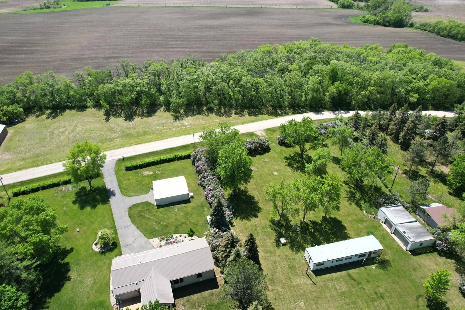 Drone1_6.JPG
