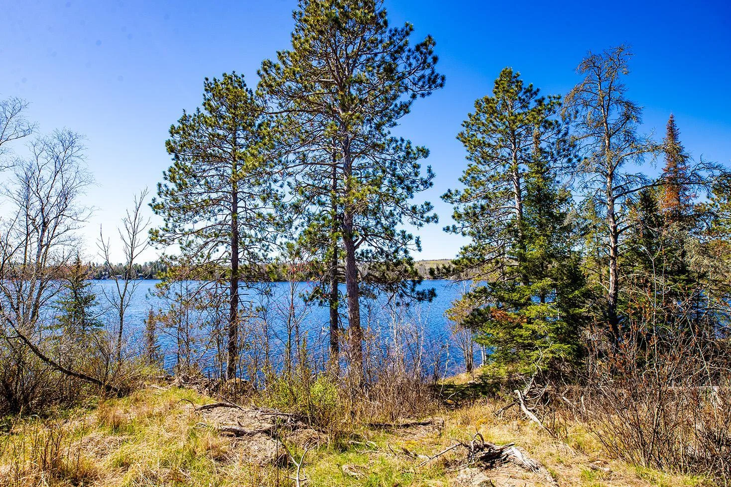 LakeFront Offering