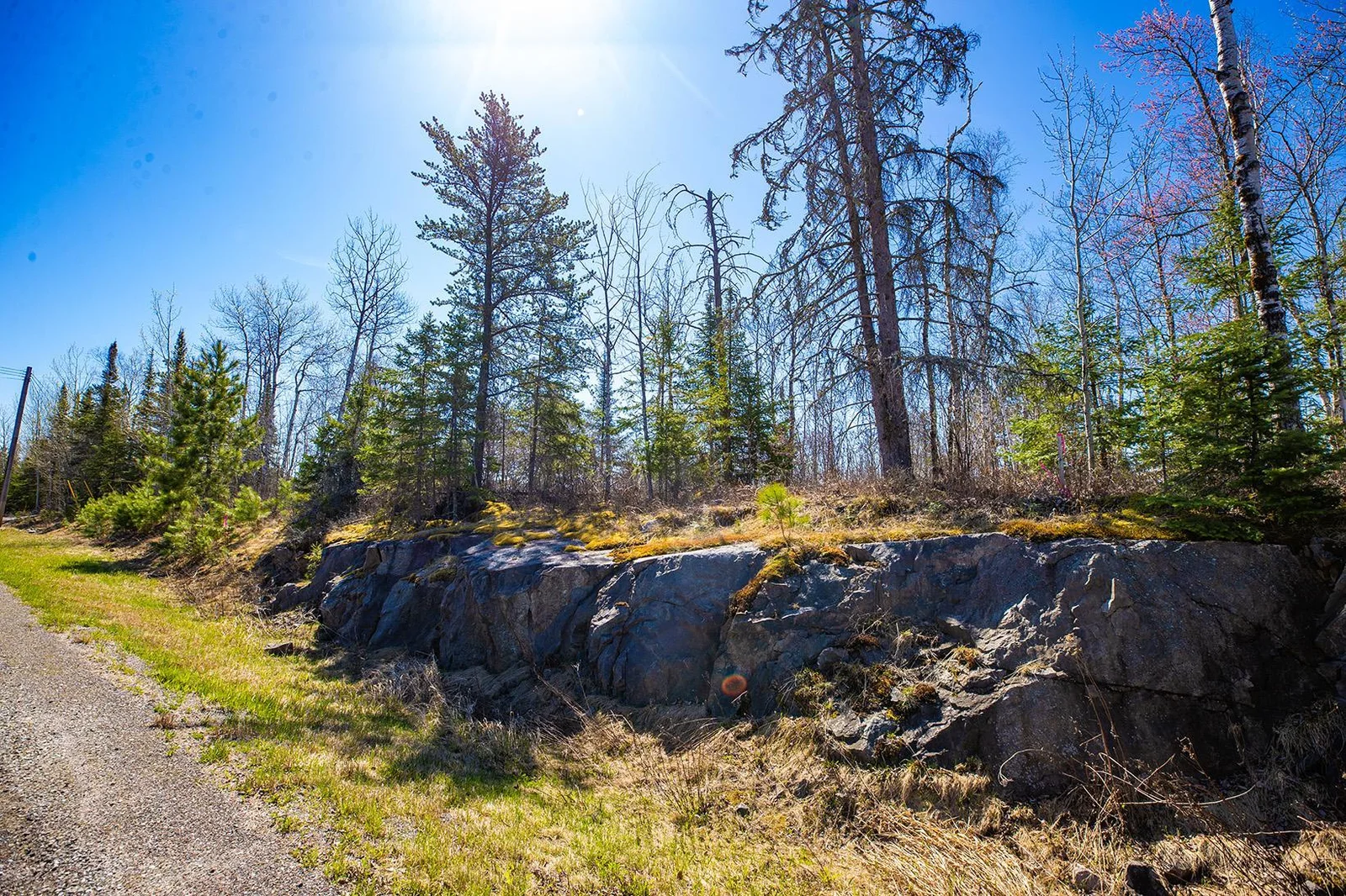 North of the Iron Range