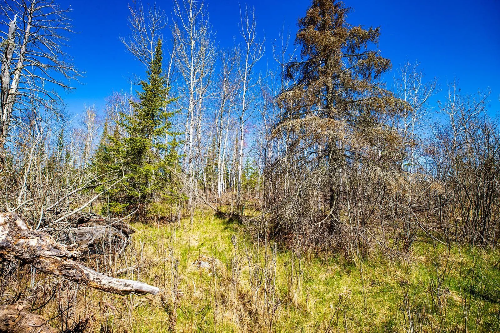 Rare Opportunity - 1 Acre Open Build