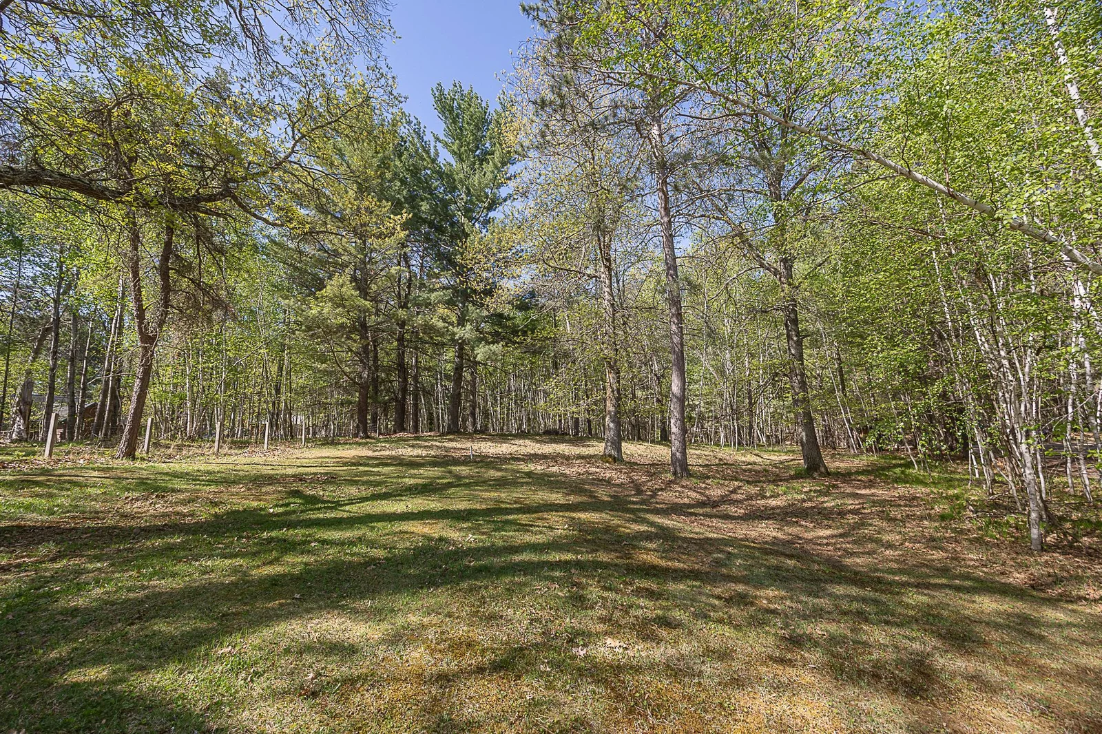 Additional views of lot.
