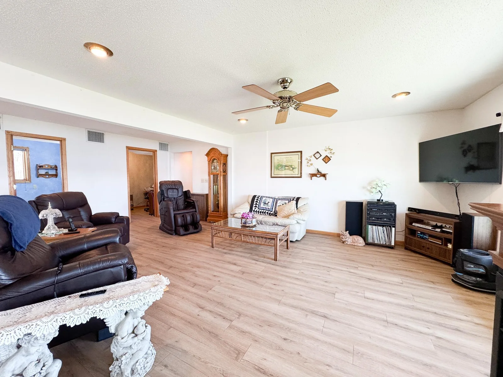 Living Room 1