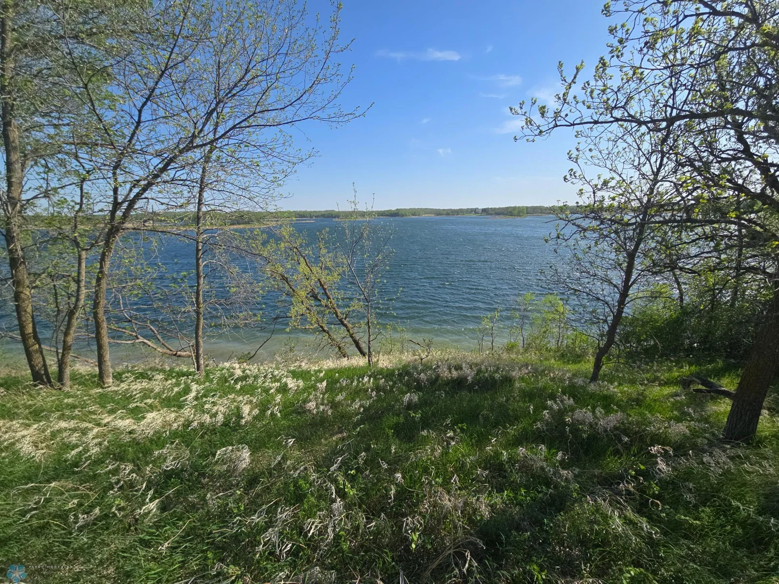 Shoreline