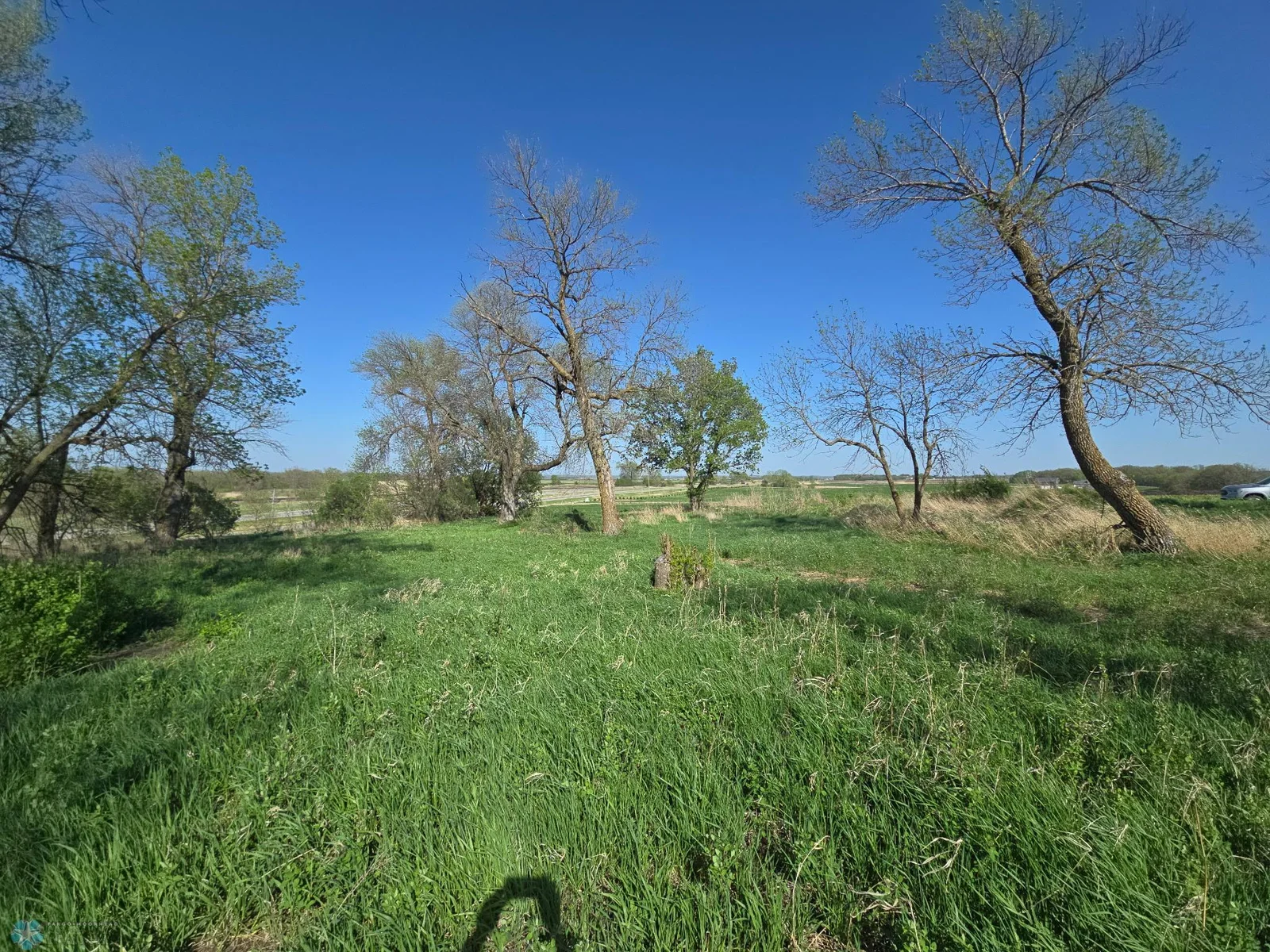 North facing view from West side of lot