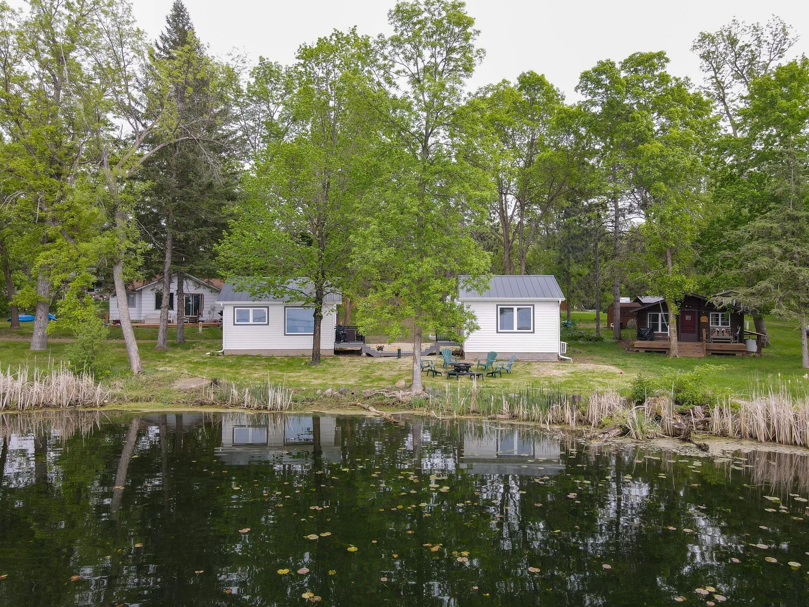 View from the lake; cattails will be removed on Thursday, May 22