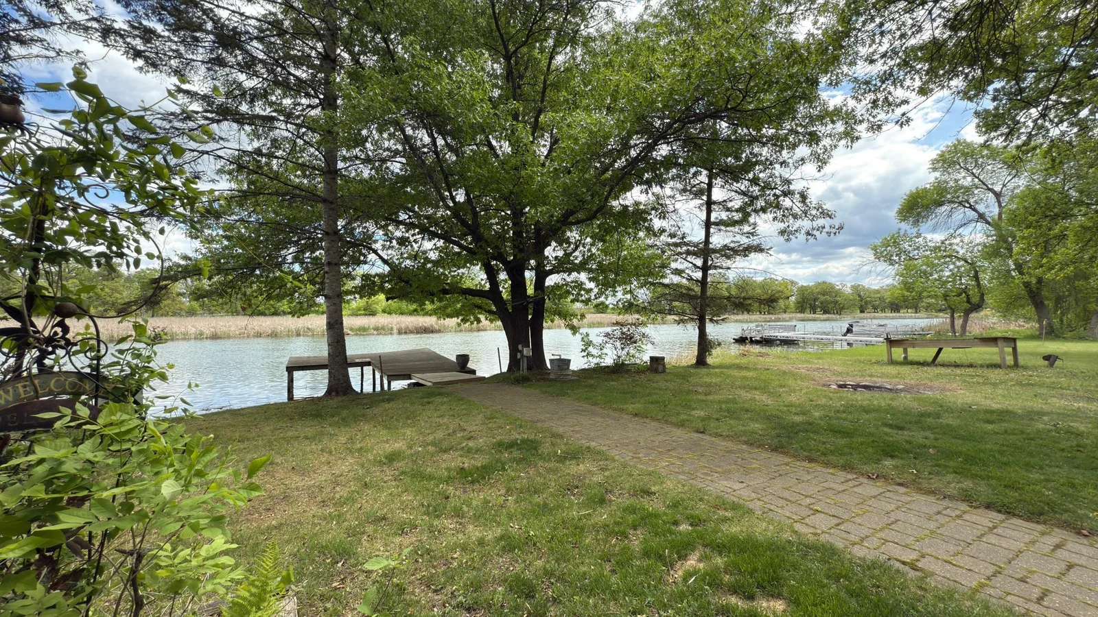 Back yard