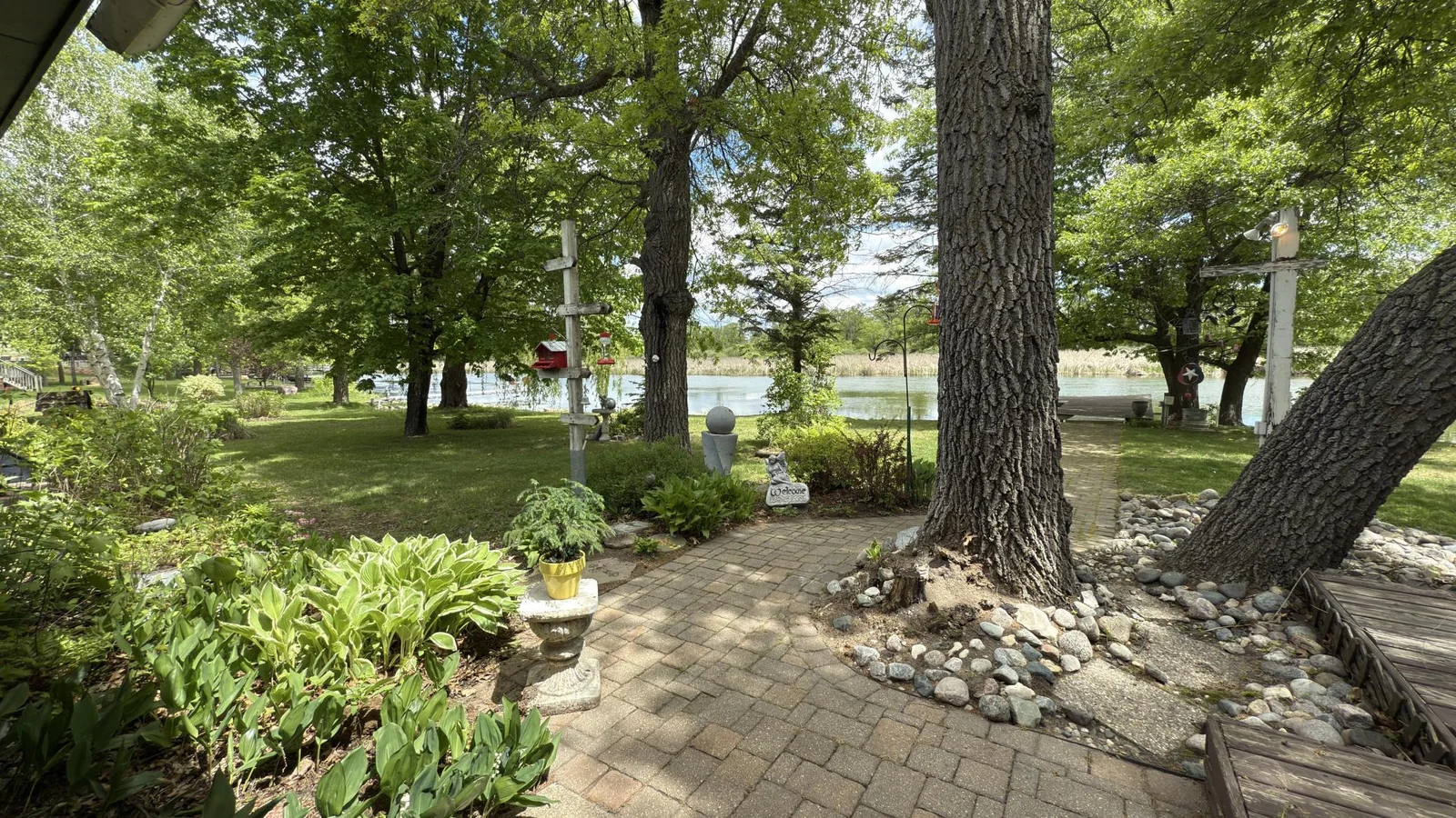 Back yard