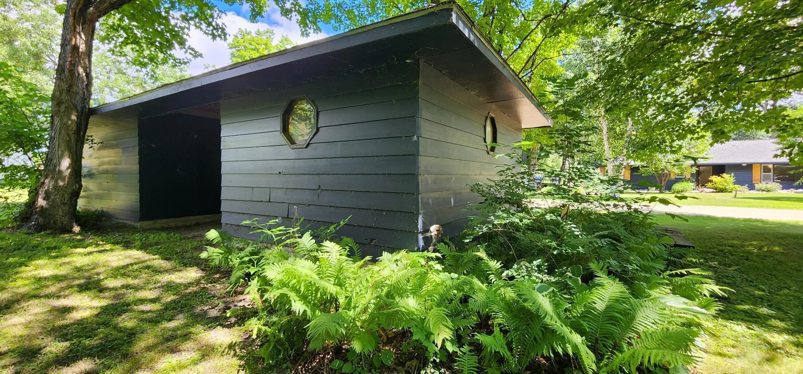 Shed