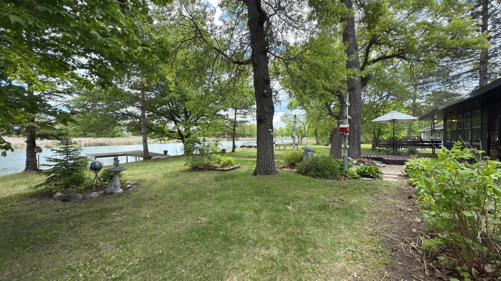 Back yard