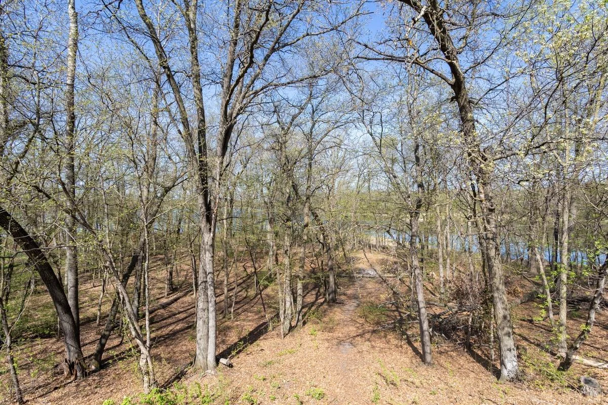 Wooded lot