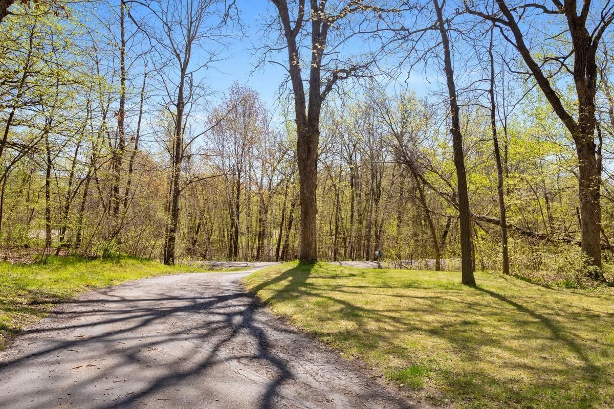 Wooded driveway