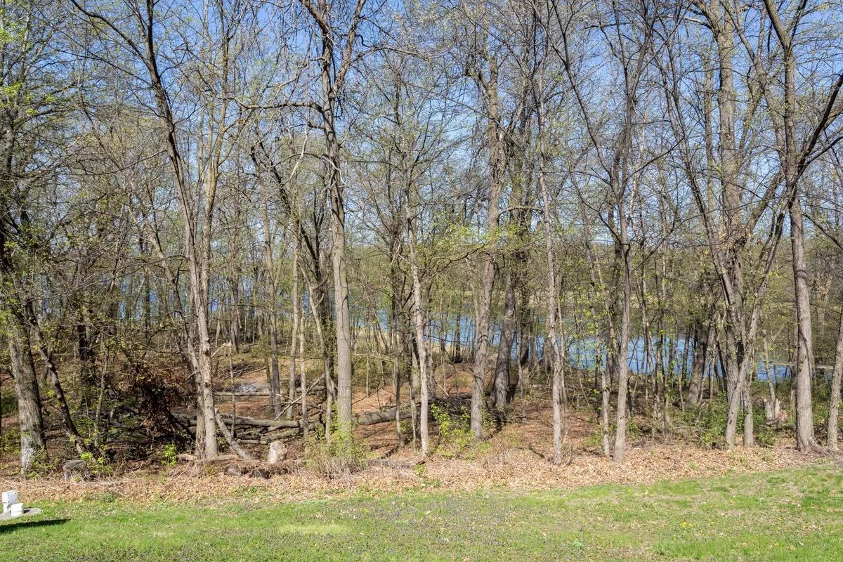 Wooded lot
