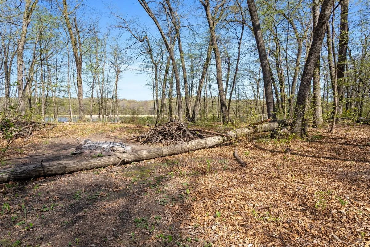 Wooded lot