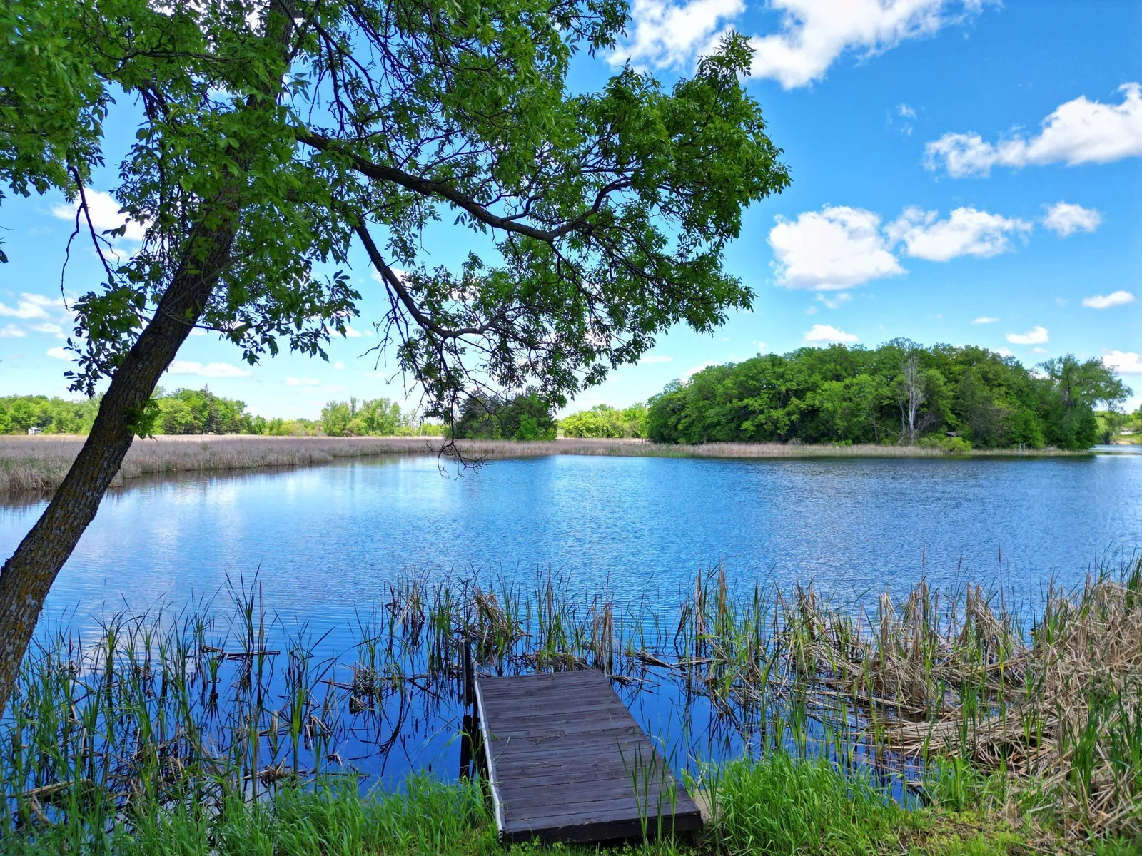 Side Fishing Dock