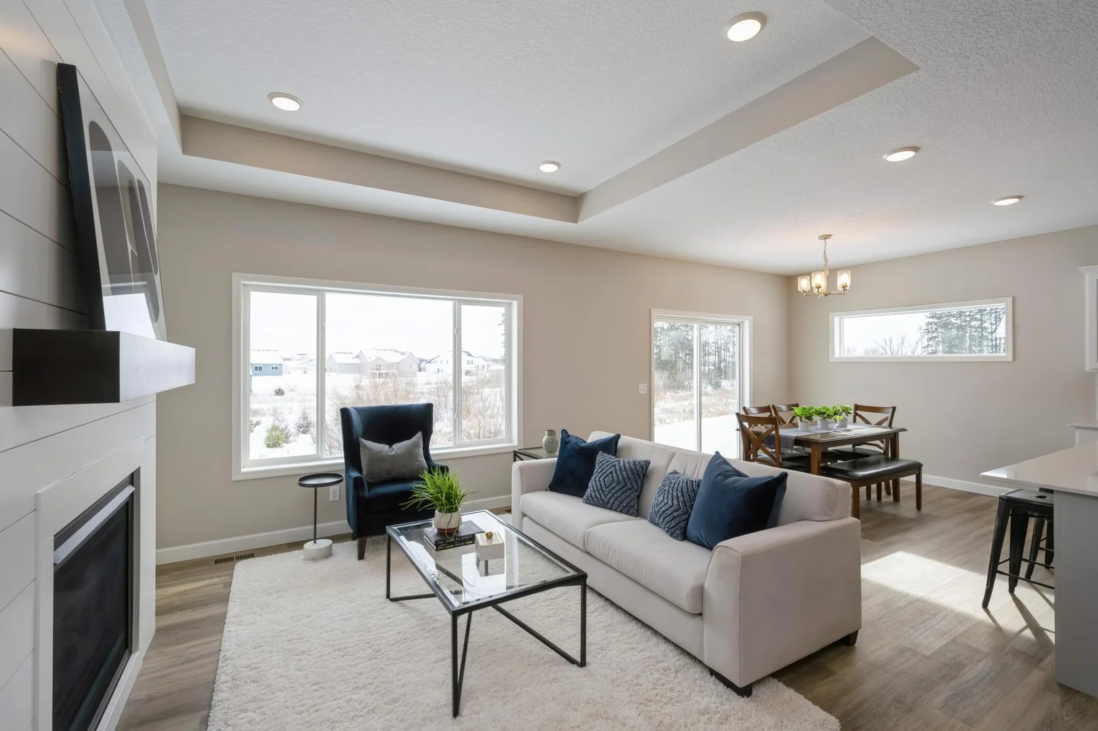 Living Room (1).jpg