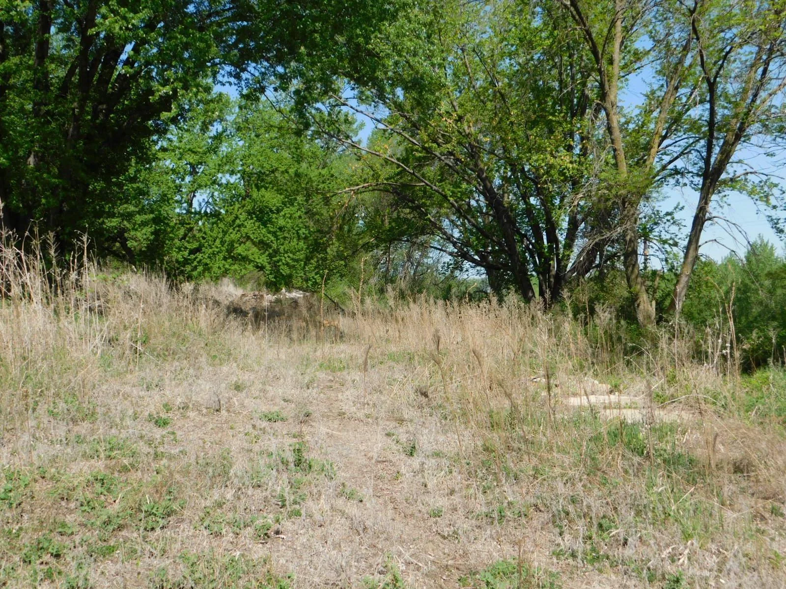 DSCN8172.JPG