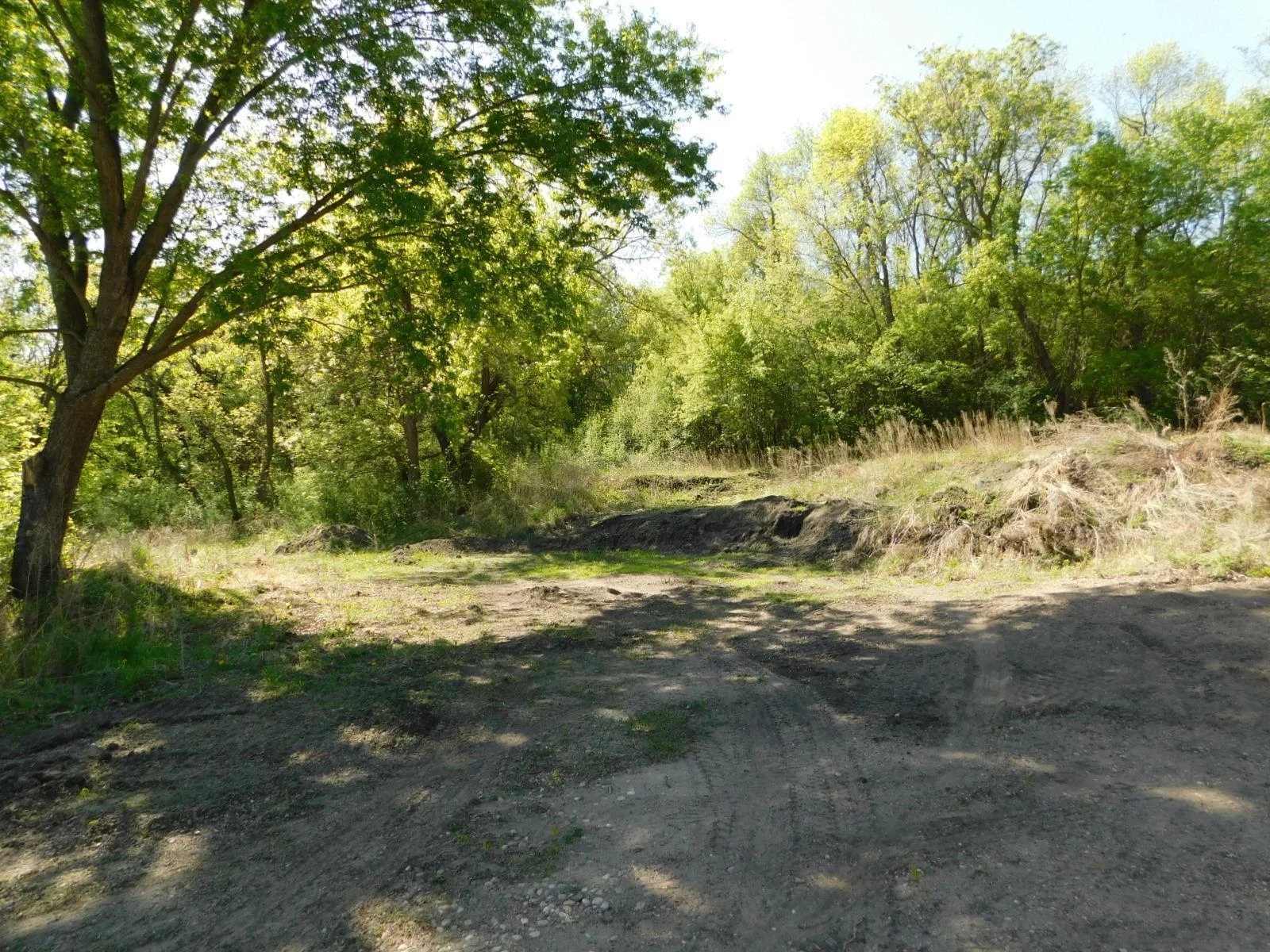 DSCN8163.JPG