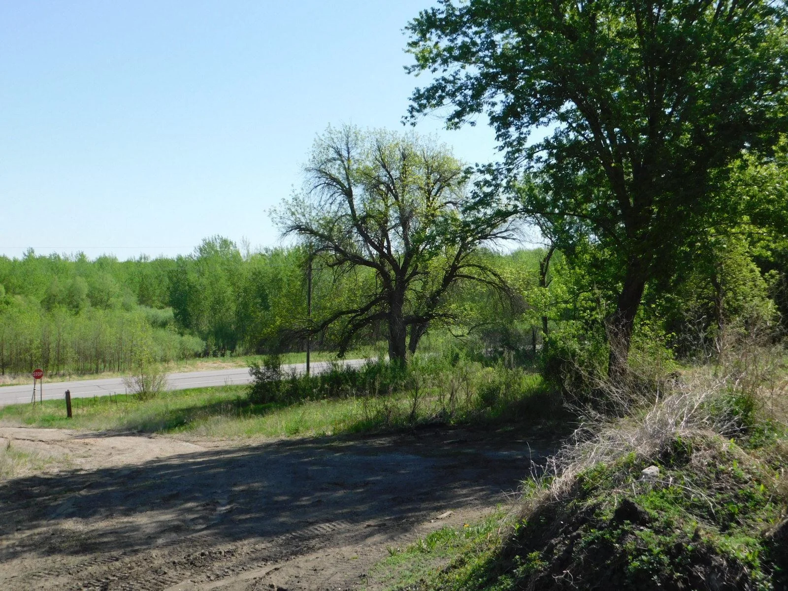 DSCN8169.JPG
