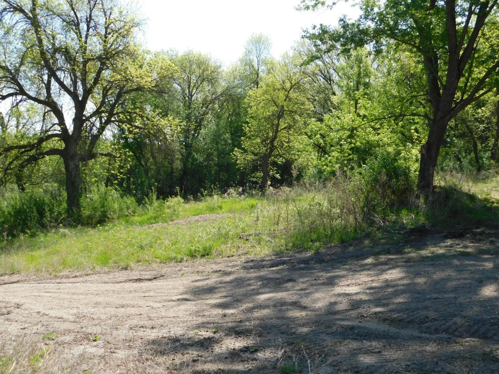 DSCN8171.JPG