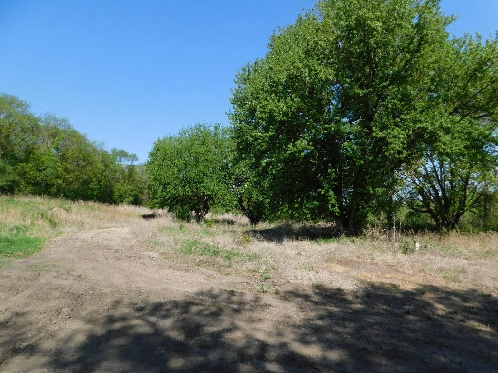 DSCN8164.JPG