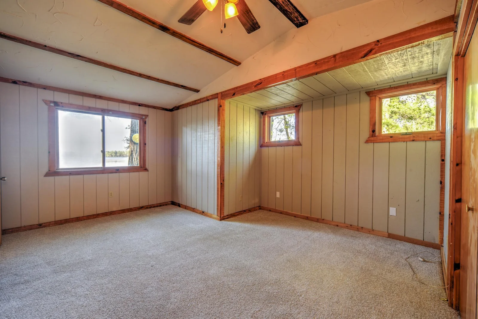 New plush carpet and paint