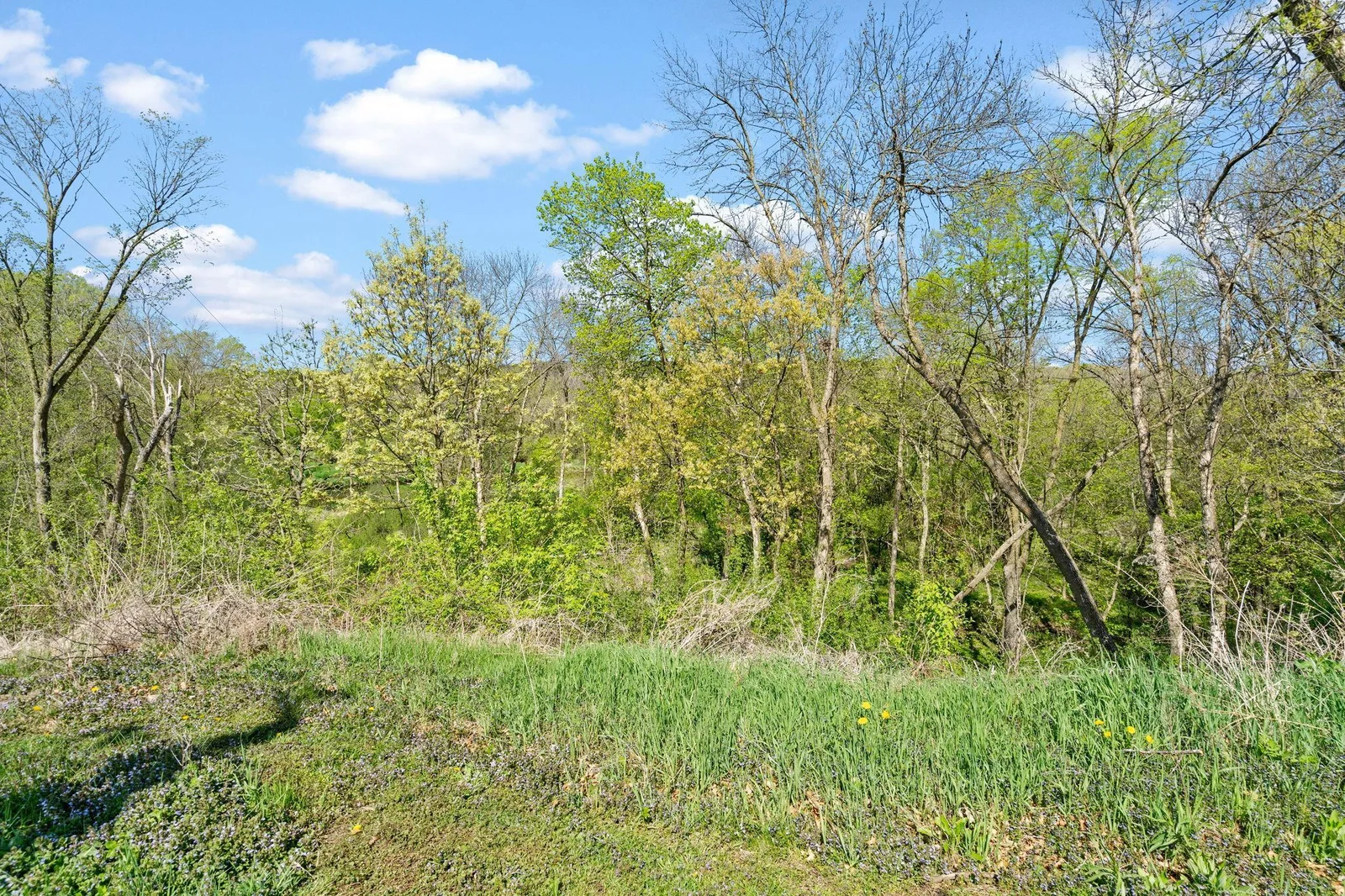 30-web-or-mls-untitled-7309746.jpg