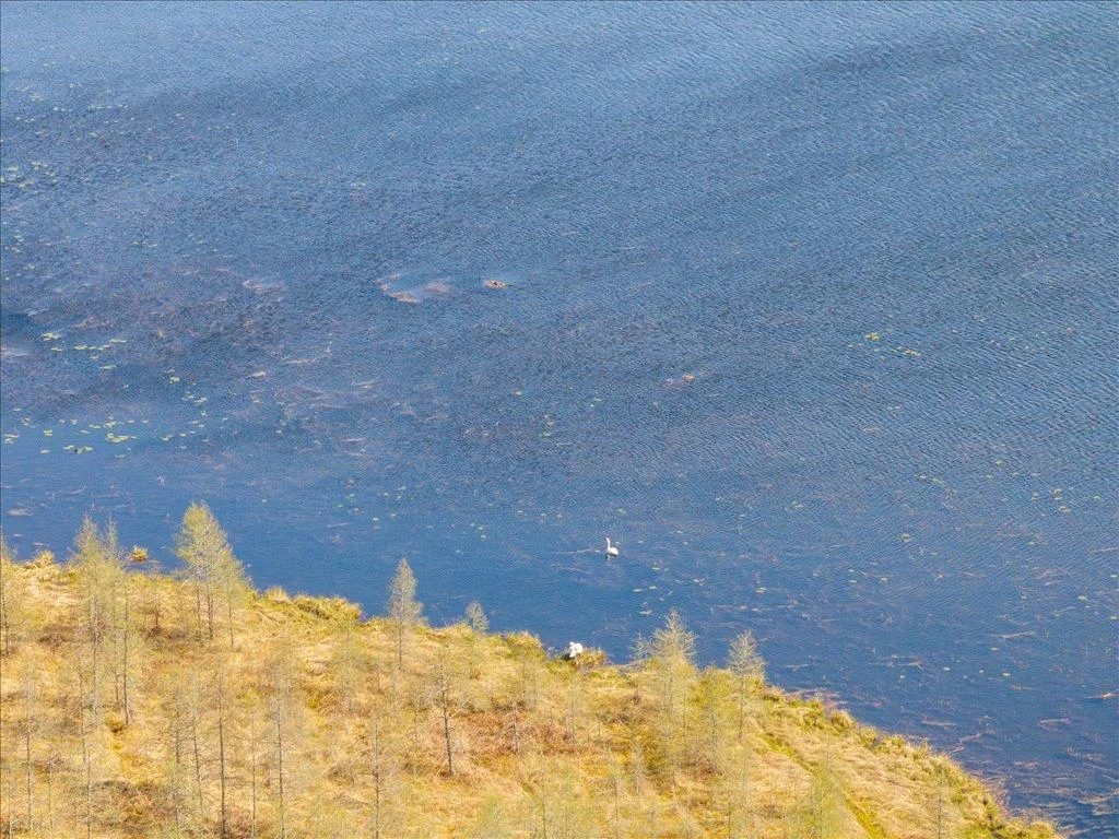 20-DJI_20250506154117_0421_D.jpg