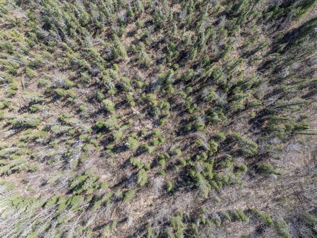 03-DJI_20250506153637_0370_D.jpg